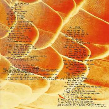 2CD Garbage: Garbage DLX