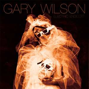 Album Gary Wilson: Electric Endicott