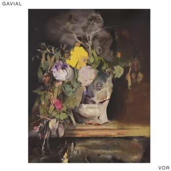 LP Gavial: Vor LTD 459516