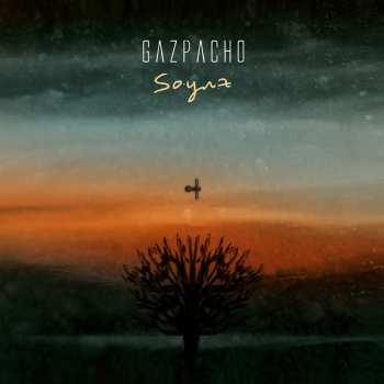 CD Gazpacho: Soyuz 33919