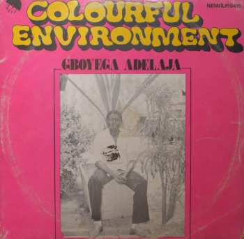 Gboyega Adelaja: Colourful Environment