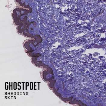 Ghostpoet: Shedding Skin