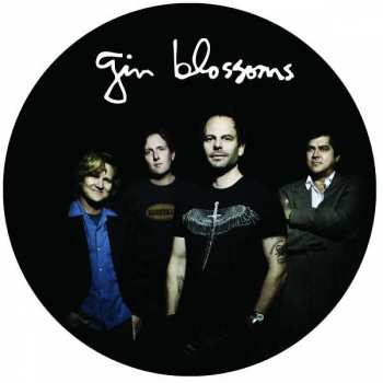 Album Gin Blossoms: Live In Concert