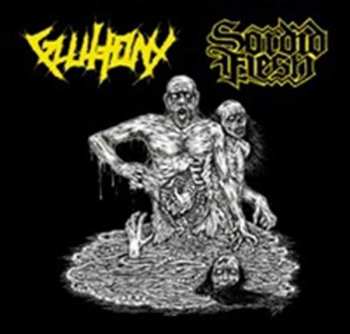 Gluttony/sordid Flesh: Split Cd