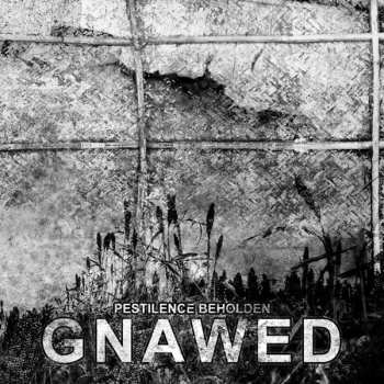 Album Gnawed: Pestilence Beholden