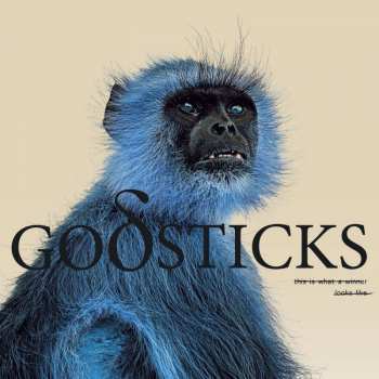 CD Godsticks: This Is What A Winner Looks Like DIGI 454734