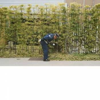 Album Gold Panda: Good Luck And Do Your Best