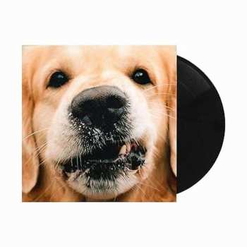 Album Goldroger: Goldie