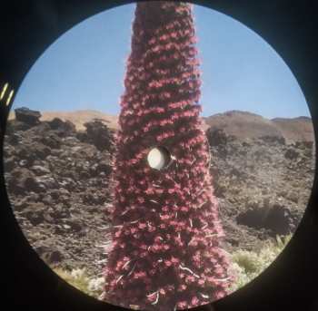 LP Goncalo F. Cardoso: Impressões De Várias Ilhas (Recordings From Macaronésia: Canary Islands, Açores And Cabo Verde By Gonçalo F. Cardoso)