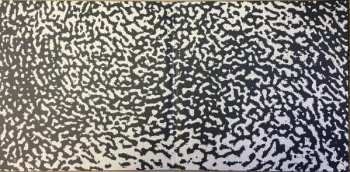 2LP Gonjasufi: Callus