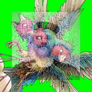 Album Gouldian Finch: Hatch