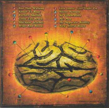 2CD Gov't Mule: Déjà Voodoo