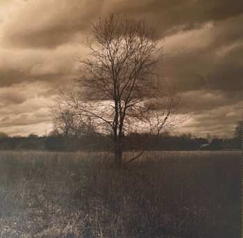 LP Grant Lee Phillips: In The Hour Of Dust CLR | LTD