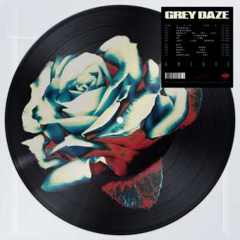 LP Grey Daze: Amends LTD | PIC 400645