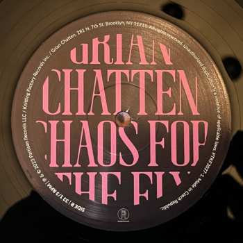 LP Grian Chatten: Chaos For The Fly 511476