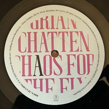 LP Grian Chatten: Chaos For The Fly 511476