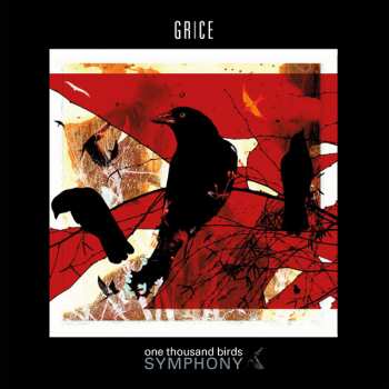 Album Grice: One Thousand Birds Symphony