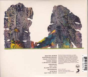 CD Grizzly Bear: Painted Ruins 423391