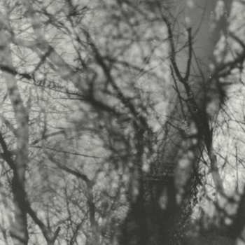 Album Grouper: Way Their Crept