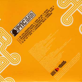 CD Gruff Rhys: Yr Atal Genhedlaeth