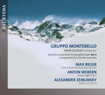 Gruppo Montebello: Gruppo Montebello - Verein Für Musikalische Privataufführungen Vol.6