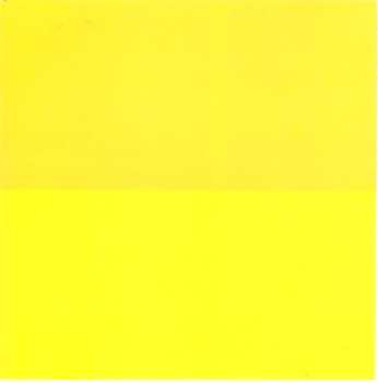 CD Gustavo Cerati: Amor Amarillo