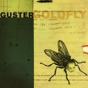 Guster: Goldfly