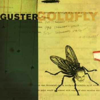 CD Guster: Goldfly
