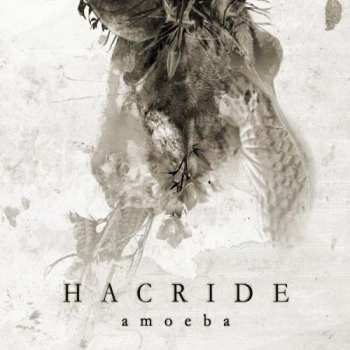 Album Hacride: Amoeba