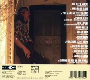 CD Hans Theessink: Hard Road Blues 177099