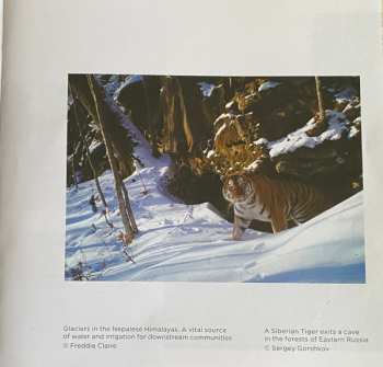 2CD Hans Zimmer: Frozen Planet II 397482
