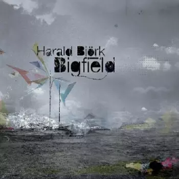 Harald Bjork: Bigfield Remixed