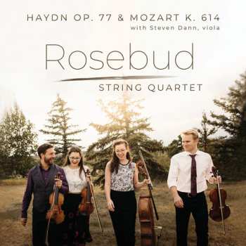 Album Haydn / Dann / Rosebud String Quartet: String Quartet In G Major