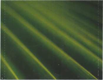 CD Heather Nova: Oyster