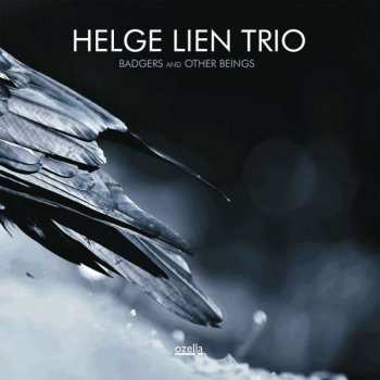Album Helge Lien Trio: Badgers And Other Beings