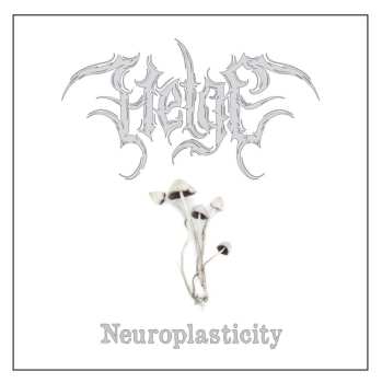 LP Helge: Neuroplasticity 518638