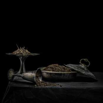 LP Holy Scum: All We Have Is Never LTD