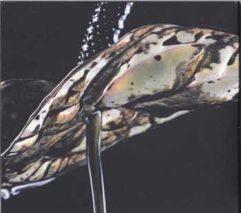 CD Honeyroot: Sound Echo Location DIGI