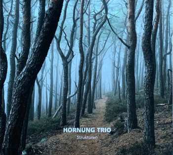 Album Hornung Trio: Strukturen 