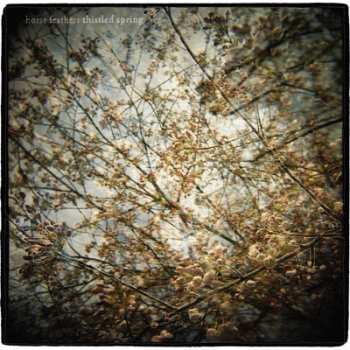 Album Horse Feathers: Thistled Spring