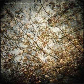 CD Horse Feathers: Thistled Spring