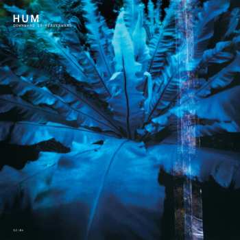 CD Hum: Downward Is Heavenward