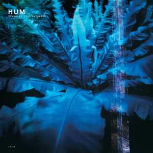 Album Hum: Downward Is Heavenward
