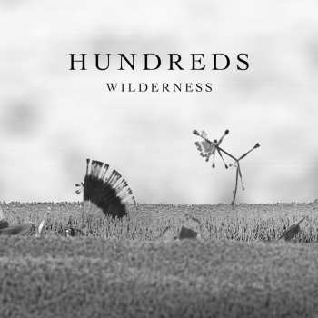 Album Hundreds: Wilderness