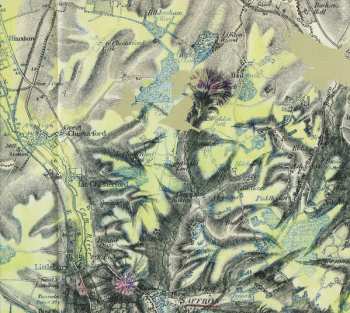 CD Ian King: Panic Grass & Fever Few