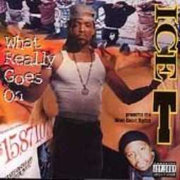 CD Ice-T: What Really Goes On 374024