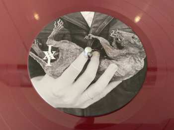 LP Iceage: Shake The Feeling - Outtakes And Rarities 2015-2021 LTD