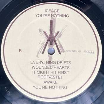 LP Iceage: You're Nothing