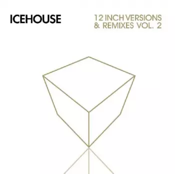 Icehouse: 12 Inch Versions & Remixes Vol. 2