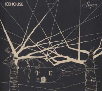 Album Icehouse: Icehouse Plays Flowers